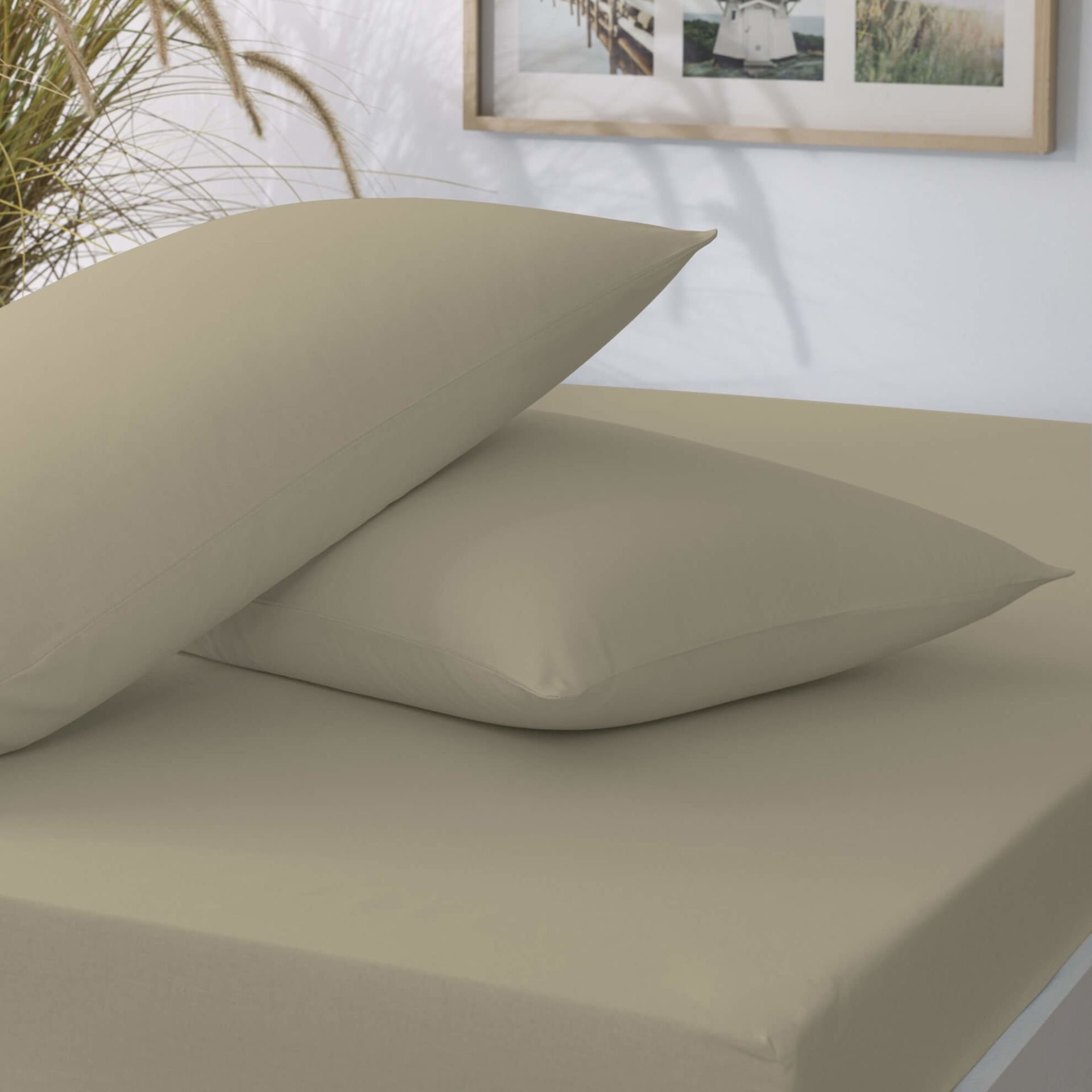 Taç Lastikli Çarşaf Seti Kahve Tek Kişilik